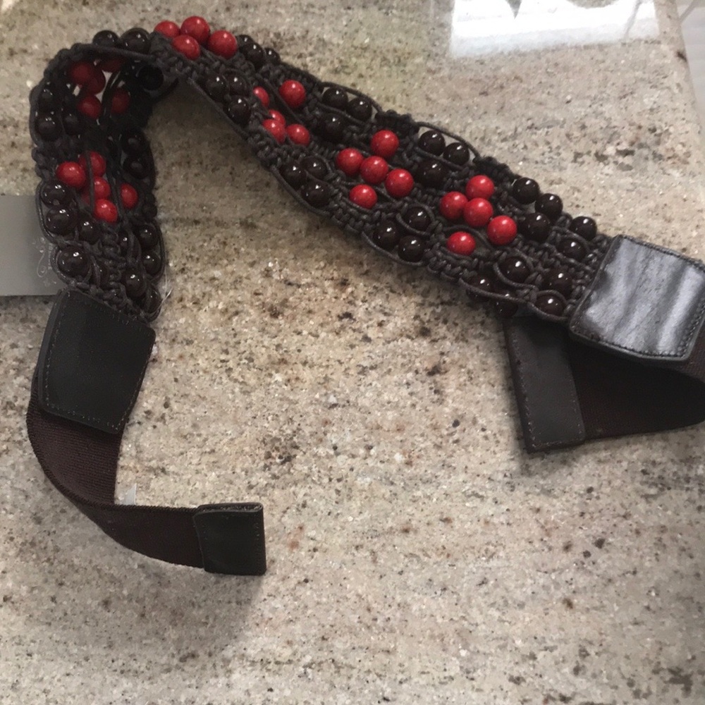 Anthropology Belt
